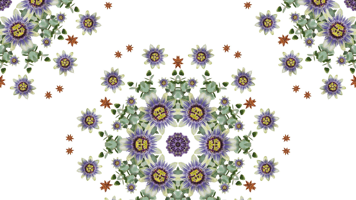 Aroma Focus Feuilles d'Aromates