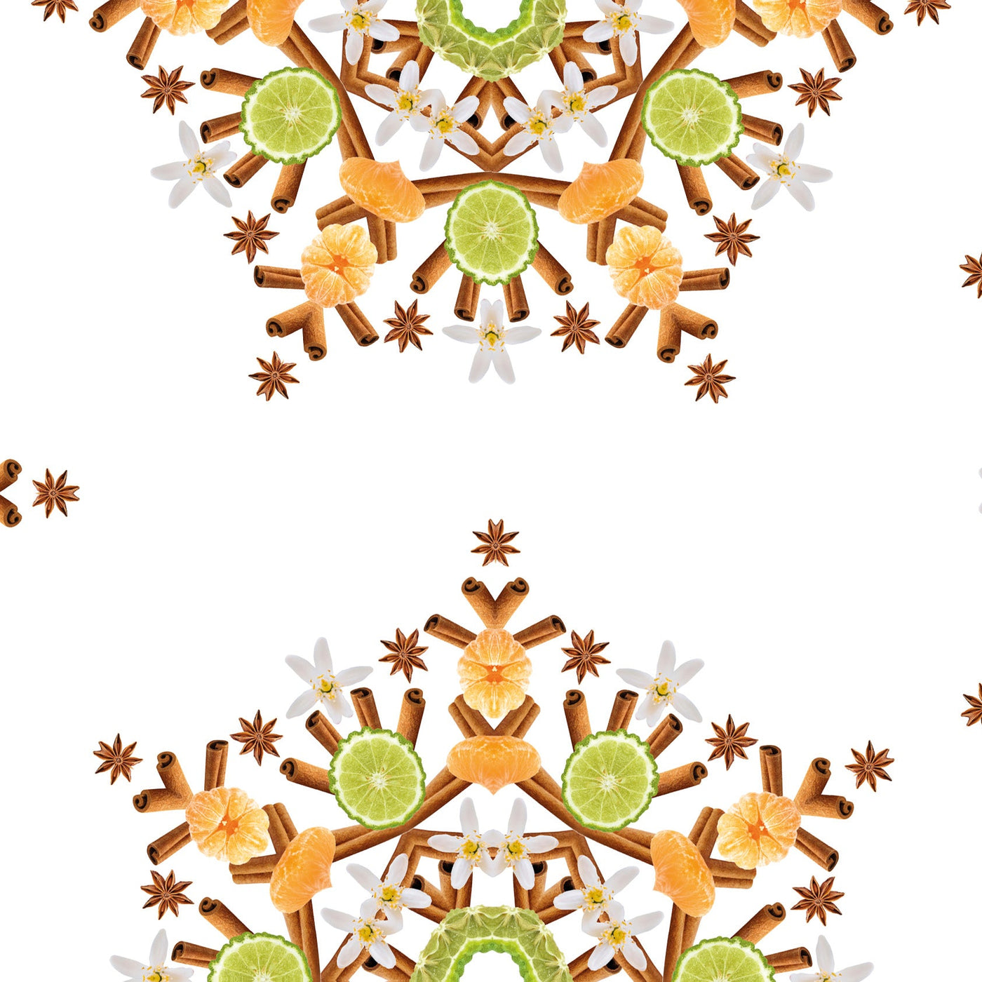 Cannelle de Noël