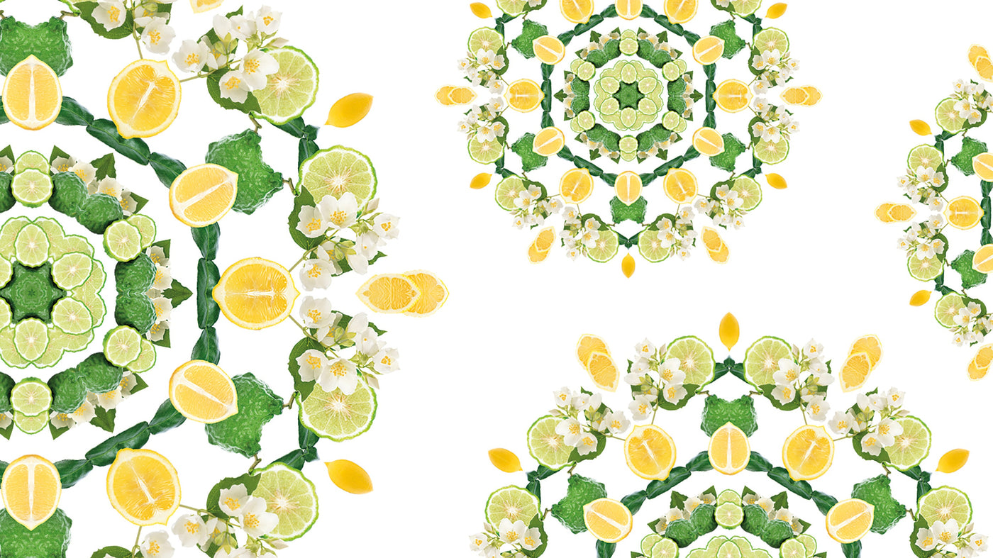 Fleur de Citronnier