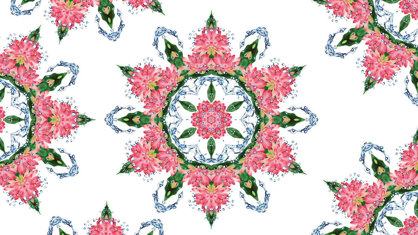 Fleur de Nymphéa