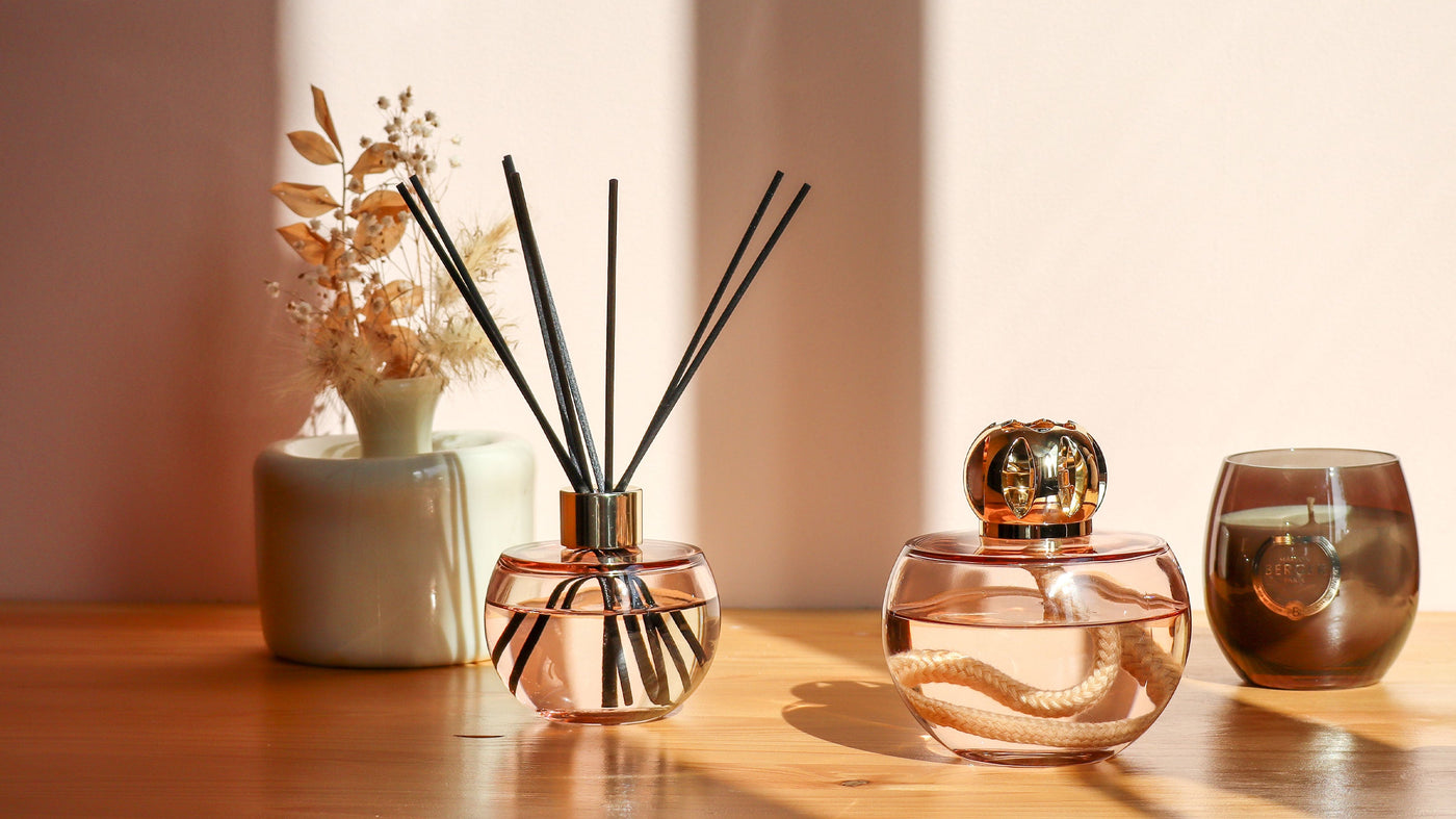 Holly Collectie