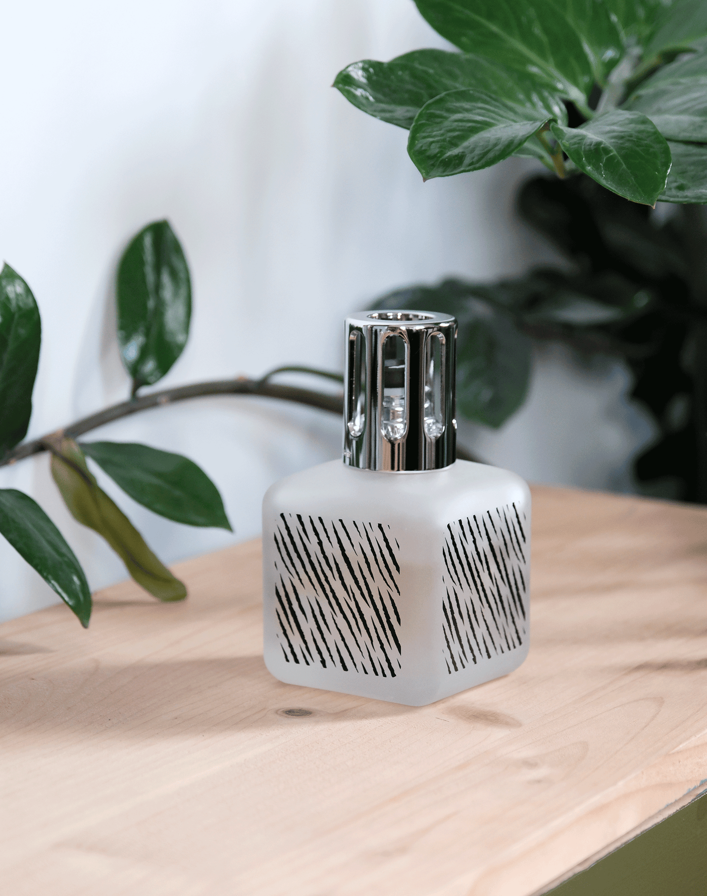 Lampe Berger Giftset Glaçon Zebra