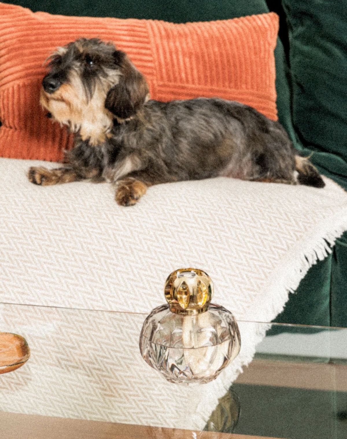 Lampe Berger Giftset Rosalie Grise